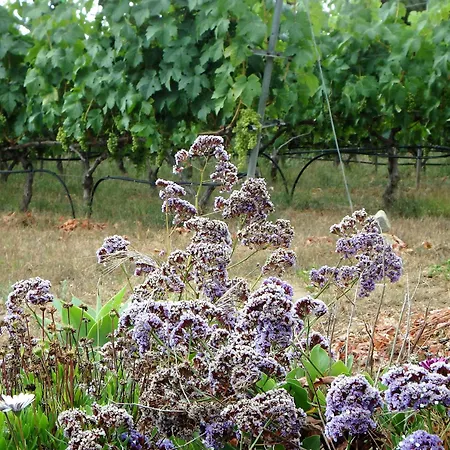 El Lagar * איקוד דה לוס וינוס