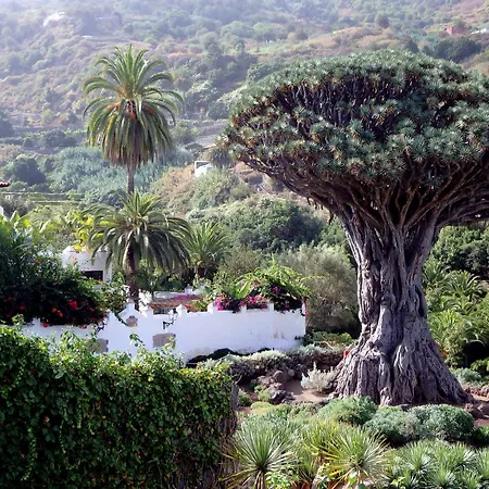 El Lagar Domek alpejski Icod De Los Vinos