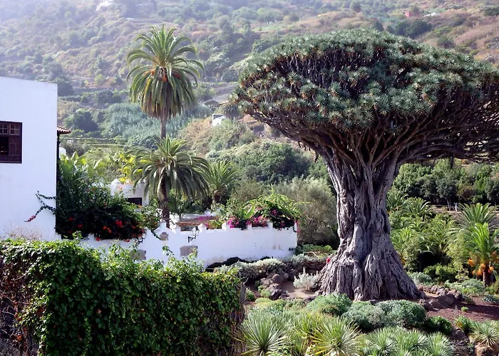 El Lagar Chalet Icod De Los Vinos